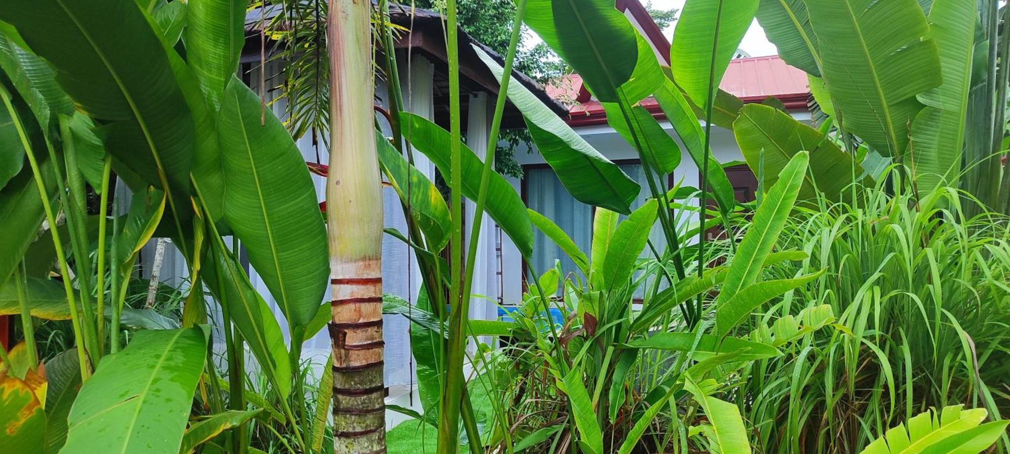 Carpe Diem Villas & Resort Puerto Princesa Екстер'єр фото